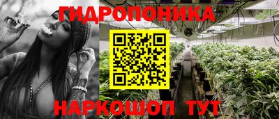 твердый Пушкино